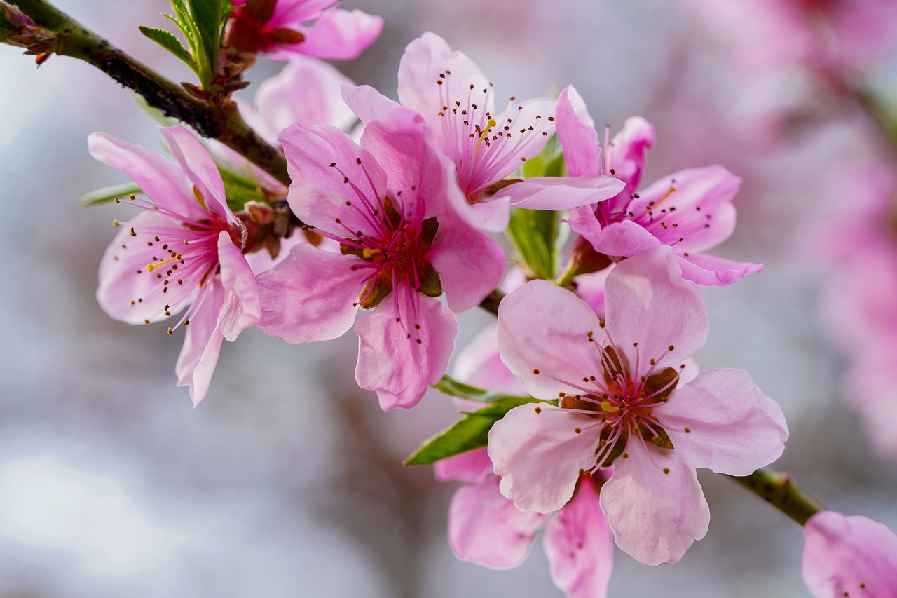 Lecturas de Primavera - 10 Reflexiones