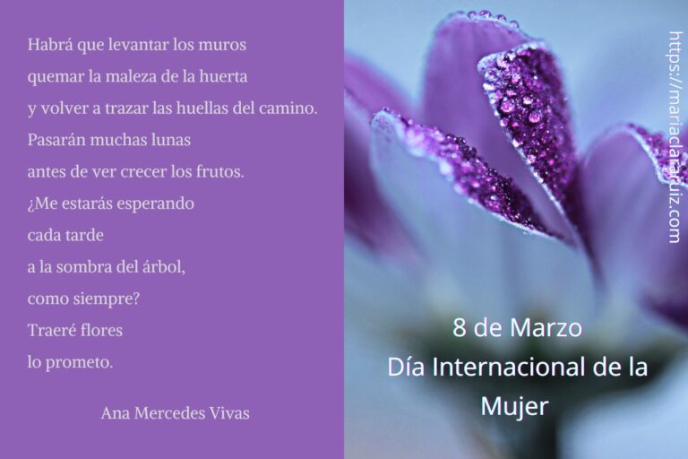 Levantando Muros – 8 de marzo