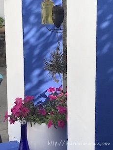 Entre mis Libros Viejos