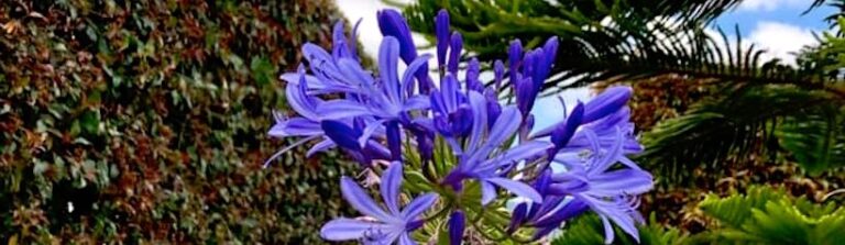 Lista de Tareas NO Pendientes