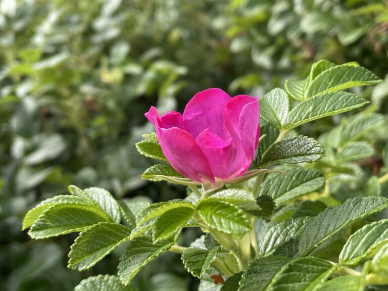 Lo mal que van las cosas