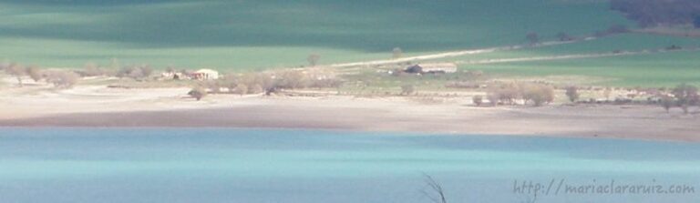 Los Sonidos del Silencio