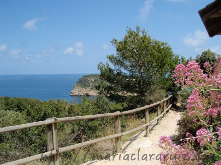 Más allá de la Autoestima