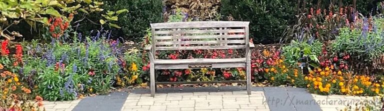 Más allá de la Soledad