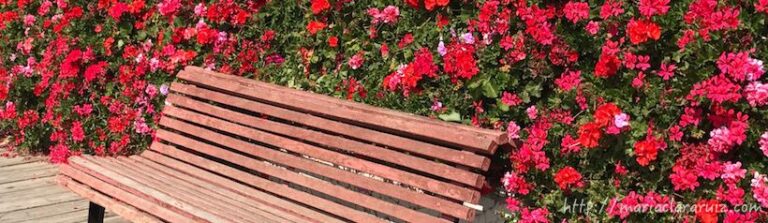 Mi experiencia de Escribir