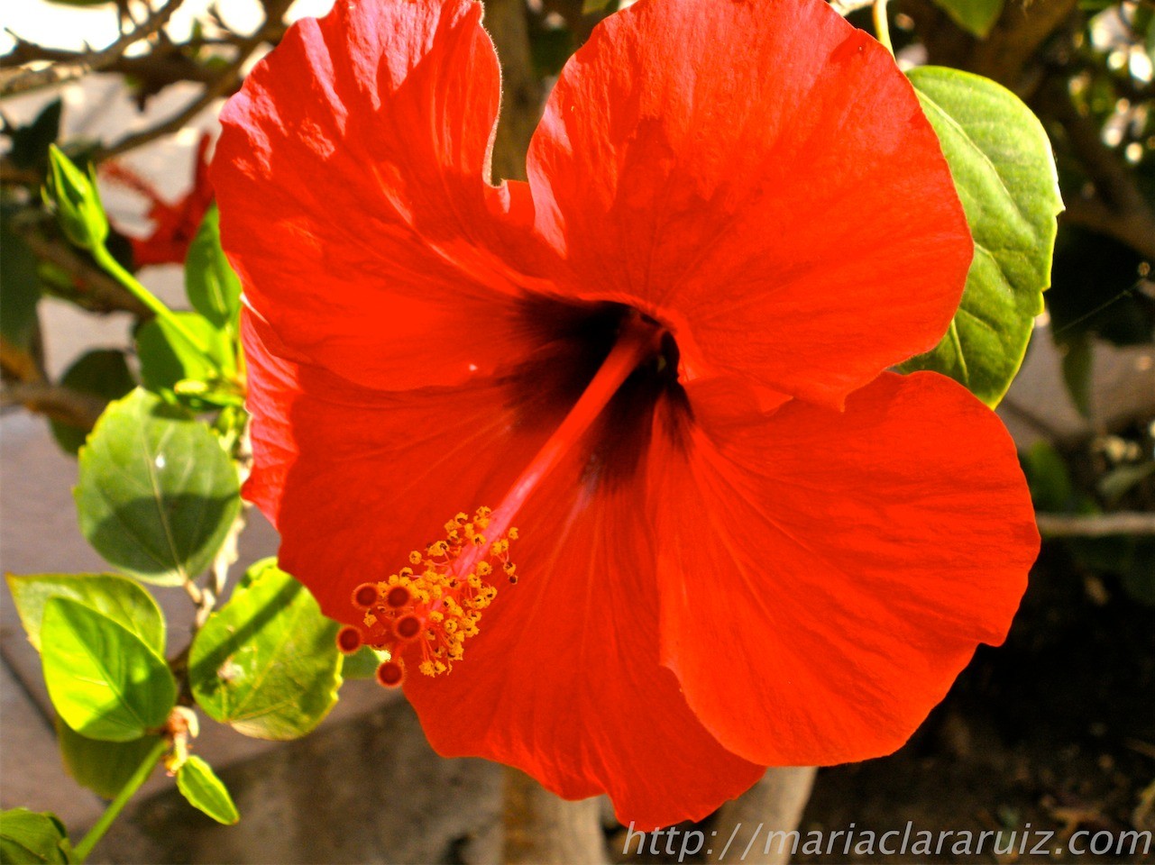 Mujeres de Oro - De Cenicientas a Mujeres Reales