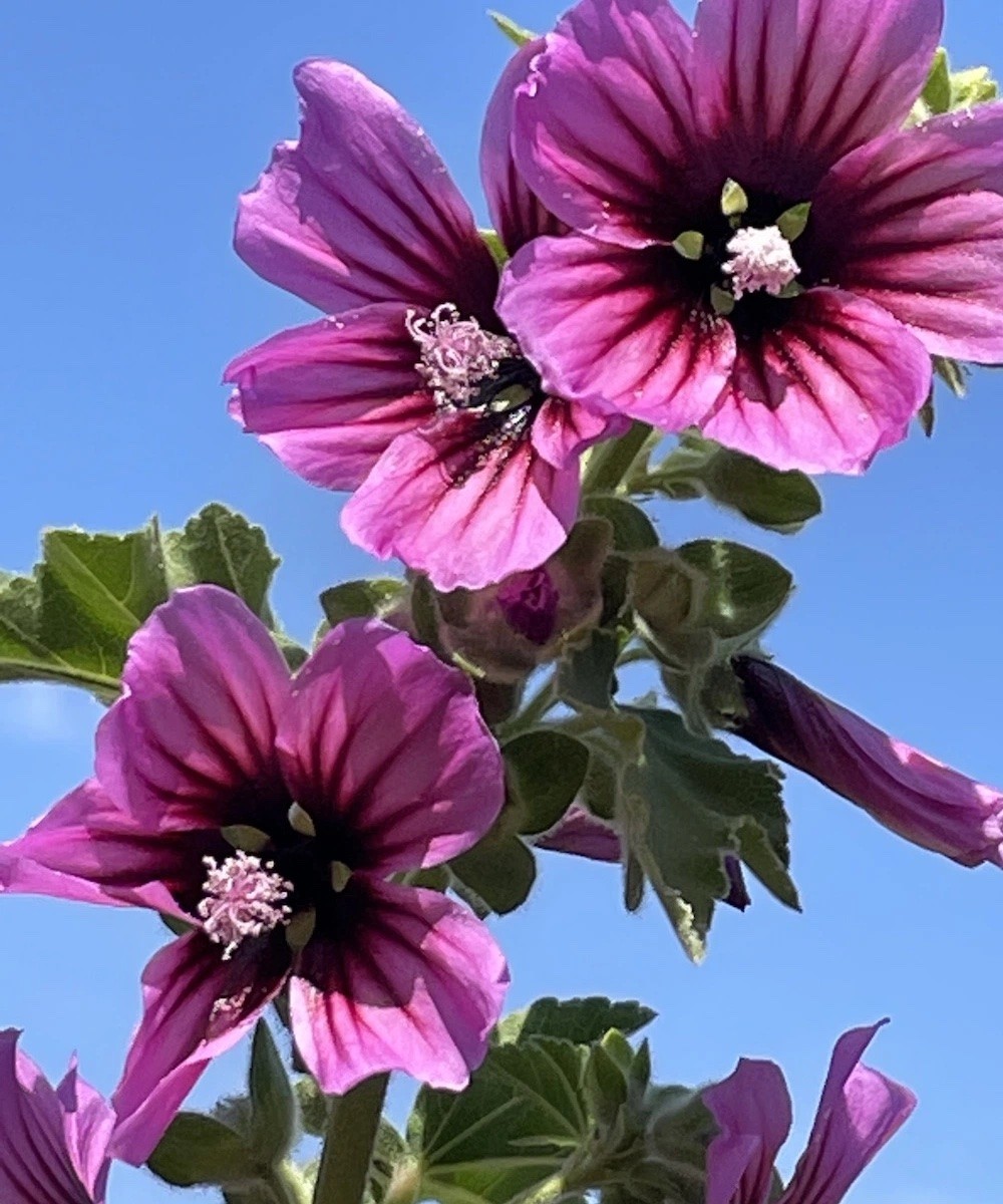 Porque nada fue tu culpa