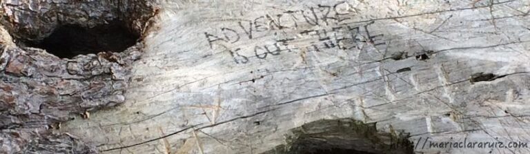 Pactos inconscientes