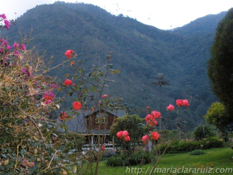 "Por ti lo Dejé Todo"... Cara y Cruz en la Pareja Mixta