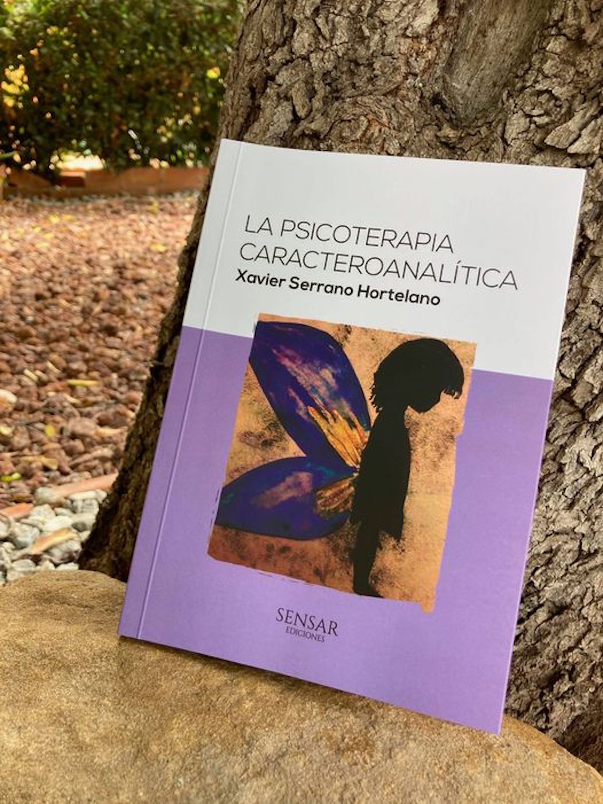 La Psicoterapia Caracteroanalítica - Xavier Serrano Hortelano