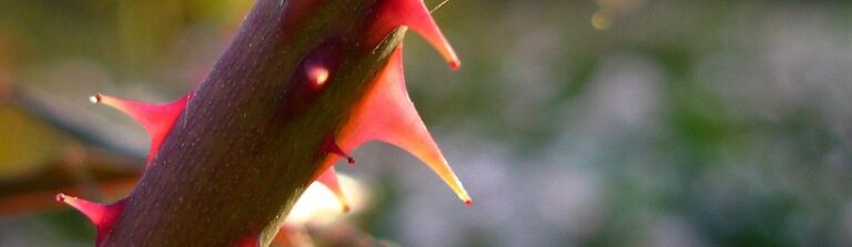 Relaciones Difíciles... Así NO son las Cosas