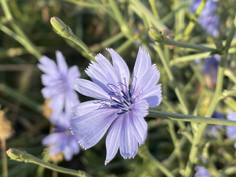 Respirar nuestras vivencias