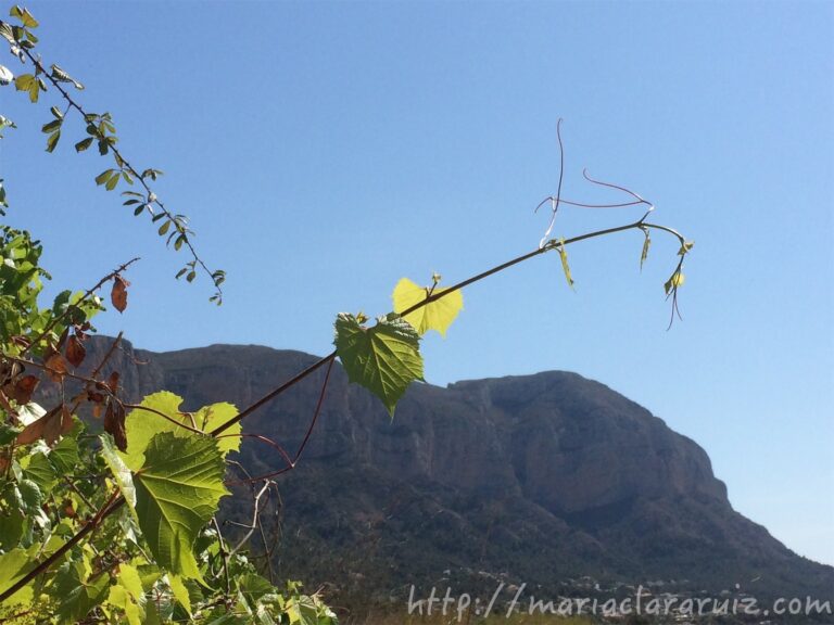 Se aprende a Amar siendo Amado - El Tacto y el Tocar