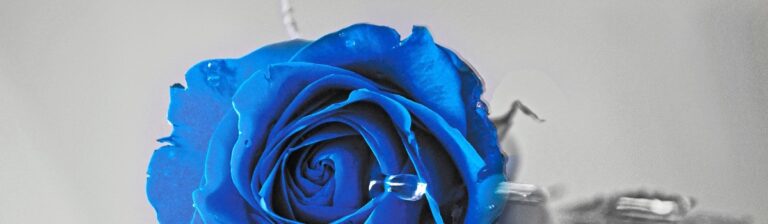 Sentimientos de Abandono:  el Miedo de Perderlo Todo