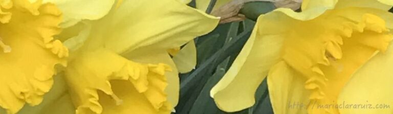 Si uno tiene un amigo... ¿Hay que tener un Psicoterapeuta?