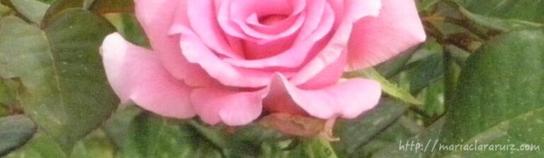 Soñar no duele… o No debería Doler