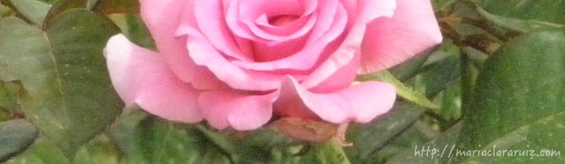 Soñar no duele… o No debería Doler