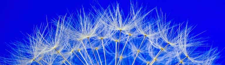 Psicoterapia Caracteroanalítica - 10 reflexiones