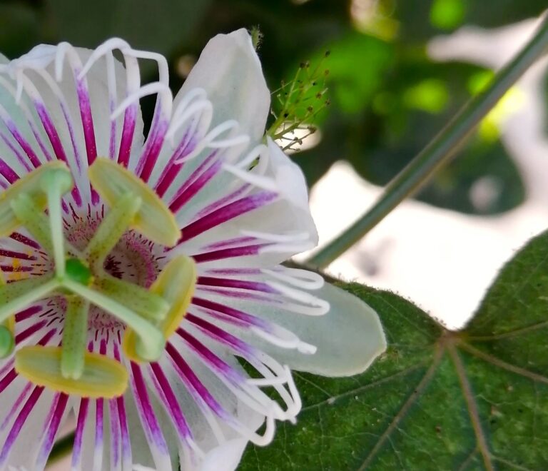 Relaciones en el Trabajo y Dinámicas del Carácter