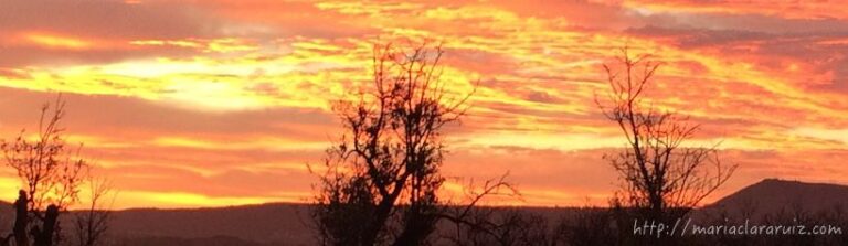 Una Navidad en Duelo