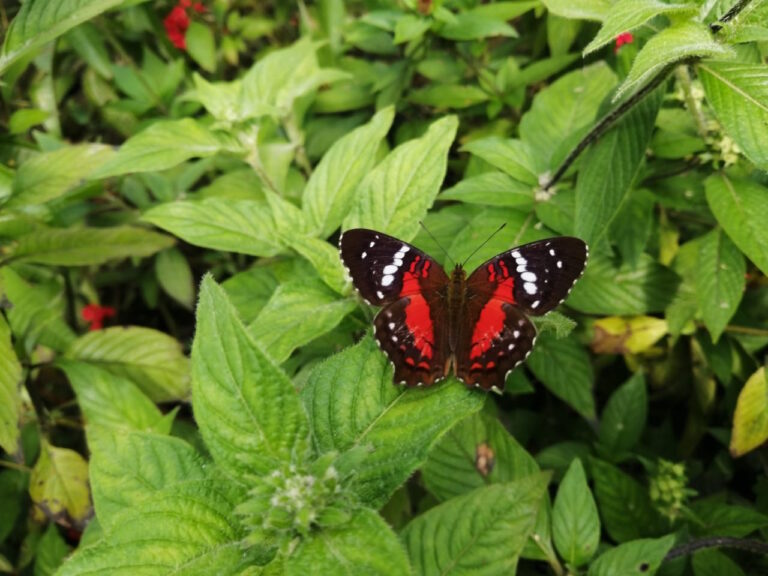 Taller "Compartiendo la Soledad" - Dénia