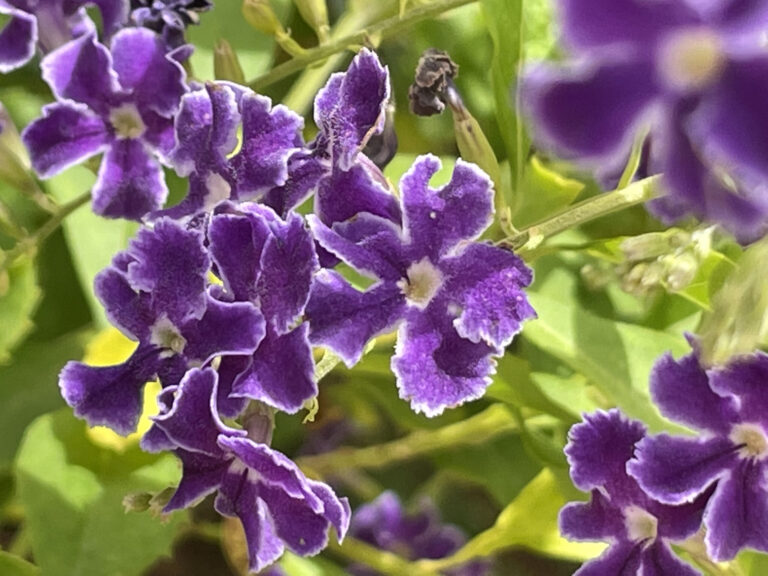 Vivir Mejor SÍ es Posible