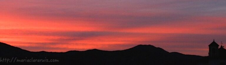 Y ahora... ¿Qué hago con mi Vida?