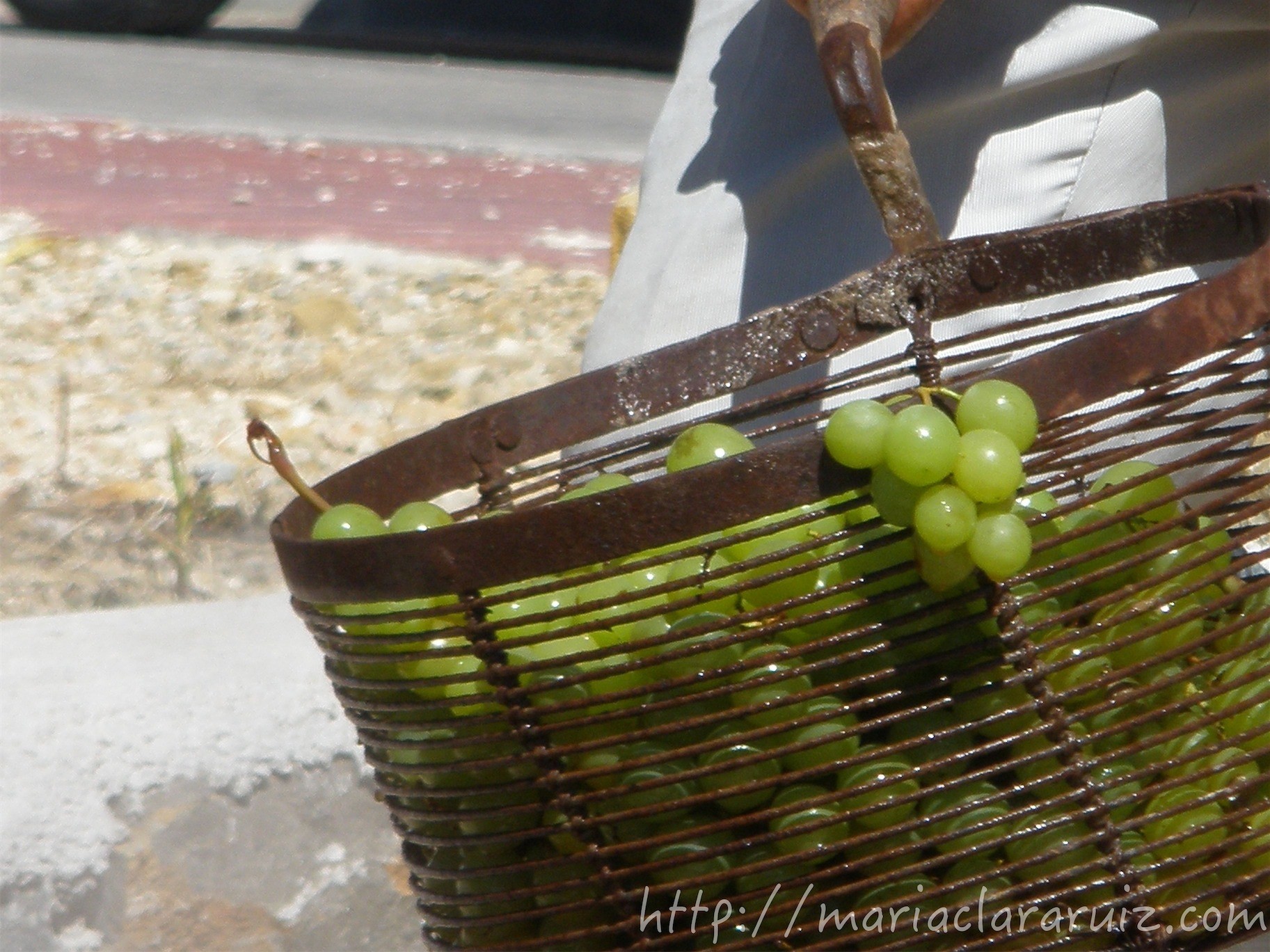 Programa: “Y tú... ¿Cuál es tu proyecto?”