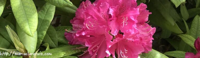 Depresión... ¿Cómo no?